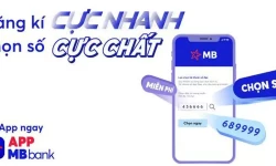 Cách chọn số tài khoản MB Bank, Hướng dẫn chi tiết đăng ký và chọn số dễ dàng