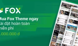 Thử nghiệm plugin Foxtool, plugin miễn phí tổng hợp các functions hay dành cho WordPress